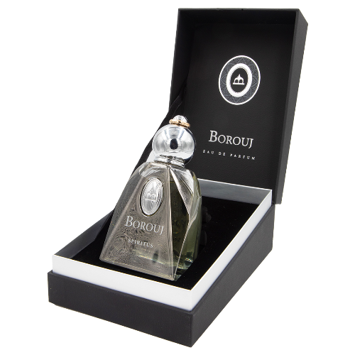 Dumont Borouj Spiritus Eau De Parfum (Creed Aventus Twist) - Caressed Parfum